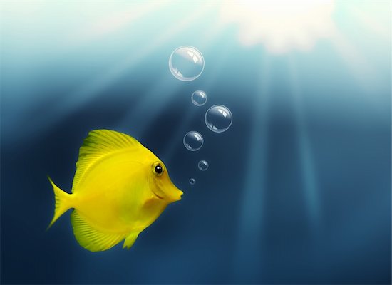 Fish and Bubbles with light, underwater Stock Photo - Royalty-Free, Artist: fotoflash, Image code: 400-04285029