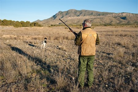 run gun - Quail hunter in camouflage clothing walking across the field Stock Photo - Budget Royalty-Free & Subscription, Code: 400-04285519