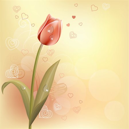 Pastel background with tulip and contour hearts Stock Photo - Budget Royalty-Free & Subscription, Code: 400-04285658