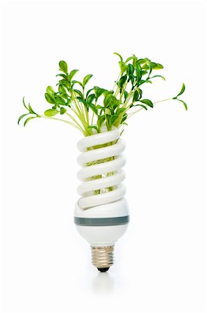 simsearch:400-04366277,k - Energy saving lamp with green seedling on white Stock Photo - Budget Royalty-Free & Subscription, Code: 400-04285864