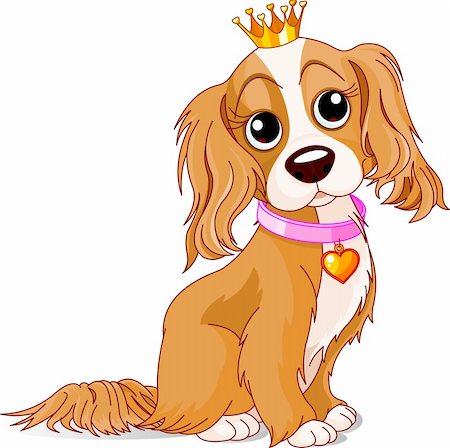 fluffy fur dog - Cavalier King Charles Spaniel with crown Stock Photo - Budget Royalty-Free & Subscription, Code: 400-04286127