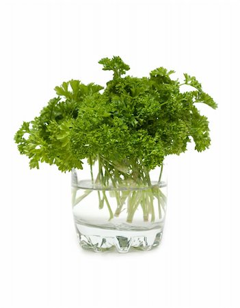 simsearch:400-05678242,k - Green parsley in glass with water on white background Foto de stock - Super Valor sin royalties y Suscripción, Código: 400-04287439