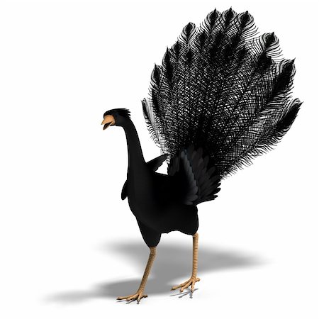 simsearch:400-04793730,k - black fantasy bird with beautiful feathers. 3D rendering with clipping path and shadow over white Foto de stock - Royalty-Free Super Valor e Assinatura, Número: 400-04287935