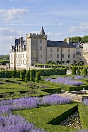 View with Lavender in park of Chateau de Valencay Stock Photo - Budget Royalty-Free & Subscription, Code: 400-04288512