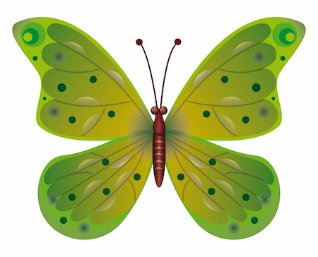 simsearch:400-08402802,k - A beautiful green butterfly isolated.  Vector illustration. Vector art in Adobe illustrator EPS format, compressed in a zip file. The different graphics are all on separate layers so they can easily be moved or edited individually. The document can be scaled to any size without loss of quality. Stockbilder - Microstock & Abonnement, Bildnummer: 400-04288729