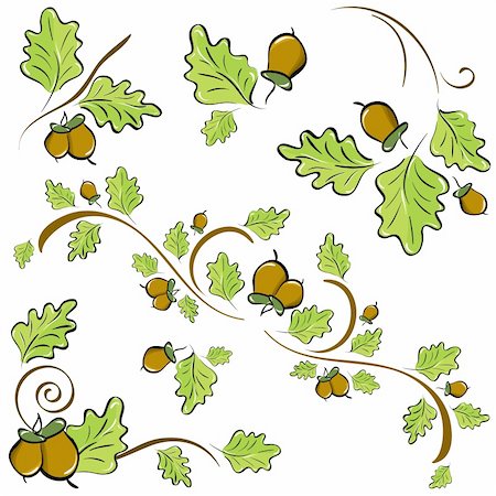 a set of ornaments made of oak leaves and acorns. Vector illustration Stock Photo - Budget Royalty-Free & Subscription, Code: 400-04288909