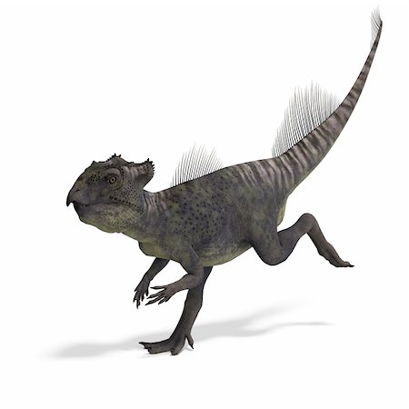 simsearch:400-04818670,k - Dinosaur Archaeoceratops. 3D rendering with clipping path and shadow over white Foto de stock - Royalty-Free Super Valor e Assinatura, Número: 400-04289006