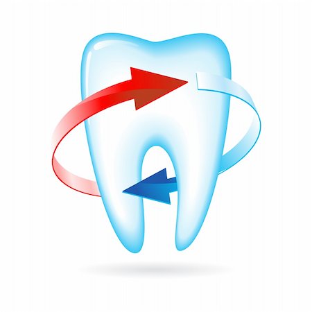 Tooth with arrows. Vector illustration on white Stock Photo - Budget Royalty-Free & Subscription, Code: 400-04280074