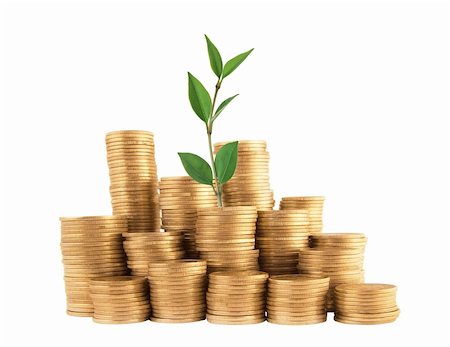 simsearch:400-07574972,k - Coins and green plant isolated on white background. Finance concept Stock Photo - Budget Royalty-Free & Subscription, Code: 400-04280579