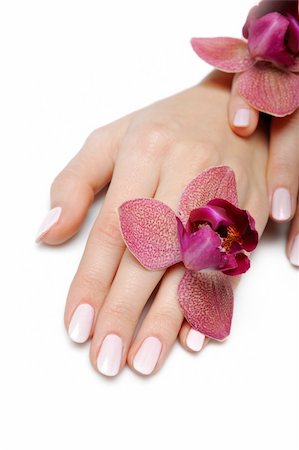 pink nails - Beautiful hand with perfect nail pink manicure and purple orchid flower. isolated on white background Stock Photo - Budget Royalty-Free & Subscription, Code: 400-04280737