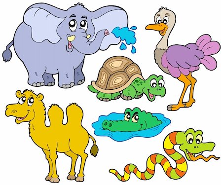 Tropical animals collection - vector illustration. Stock Photo - Budget Royalty-Free & Subscription, Code: 400-04281157