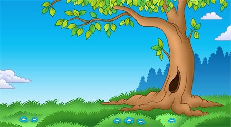 simsearch:400-04267385,k - Leafy tree in grassy landscape - color illustration. Stockbilder - Microstock & Abonnement, Bildnummer: 400-04281192