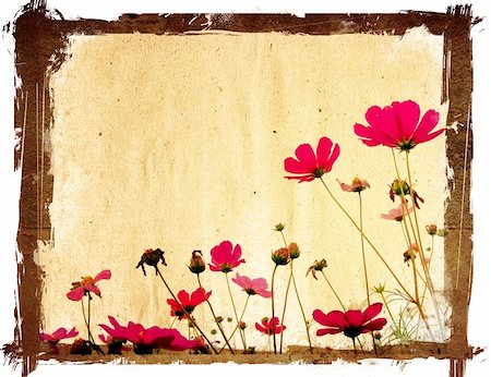 simsearch:400-04086179,k - old flower paper textures - perfect background with space Foto de stock - Super Valor sin royalties y Suscripción, Código: 400-04281522
