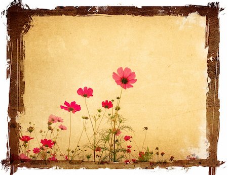 simsearch:400-04086179,k - old flower paper textures - perfect background with space Foto de stock - Super Valor sin royalties y Suscripción, Código: 400-04281523