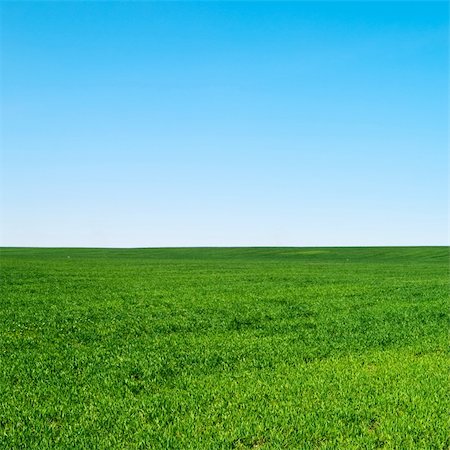 simsearch:400-04124483,k - beautiful landscape, clean blue sky Photographie de stock - Aubaine LD & Abonnement, Code: 400-04282028