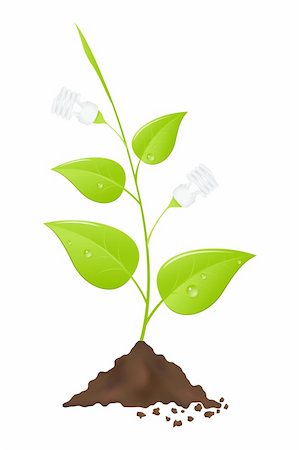 recycle energy conservation - Light bulb tree. Save energy. Vector illustration. Stock Photo - Budget Royalty-Free & Subscription, Code: 400-04283078