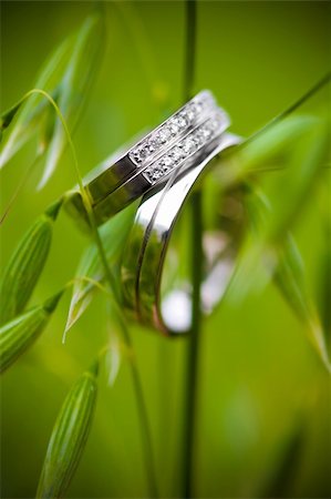 simsearch:400-05153680,k - Wedding rings and rye Stock Photo - Budget Royalty-Free & Subscription, Code: 400-04283439