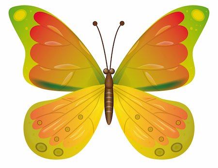 A beautiful yellow butterfly isolated.  Vector illustration. Vector art in Adobe illustrator EPS format, compressed in a zip file. The different graphics are all on separate layers so they can easily be moved or edited individually. The document can be scaled to any size without loss of quality. Stock Photo - Budget Royalty-Free & Subscription, Code: 400-04283822