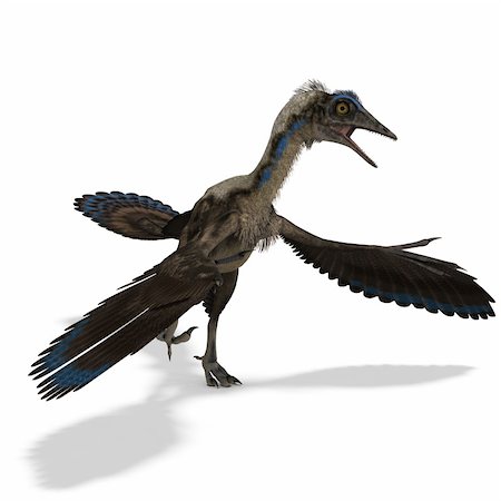 simsearch:400-04818670,k - Dinosaur Archaeopteryx. 3D rendering with clipping path and shadow over white Foto de stock - Royalty-Free Super Valor e Assinatura, Número: 400-04294120