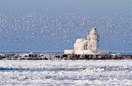 The Cleveland Harbor West Pierhead Lighthouse covered in ice. The lighthouse, built in 1911, guides ships from Lake Erie into the Port of Cleveland and the Cuyahoga River. Photographie de stock - Aubaine LD & Abonnement, Code: 400-04294432