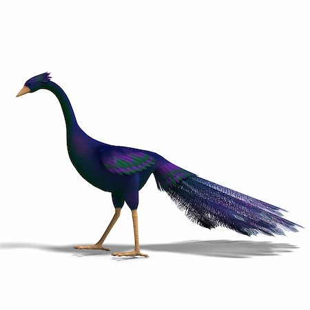 simsearch:400-04793730,k - blue fantasy bird with beautiful feathers. 3D rendering with clipping path and shadow over white Foto de stock - Royalty-Free Super Valor e Assinatura, Número: 400-04294592