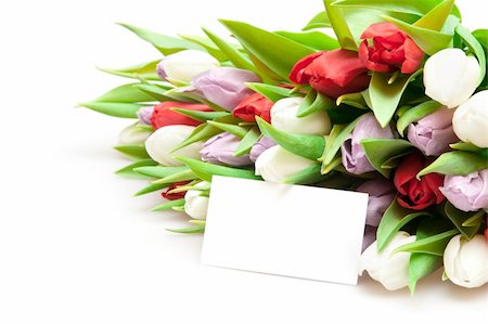 simsearch:400-05104344,k - bouquet of tulips isolated on white Foto de stock - Super Valor sin royalties y Suscripción, Código: 400-04294614