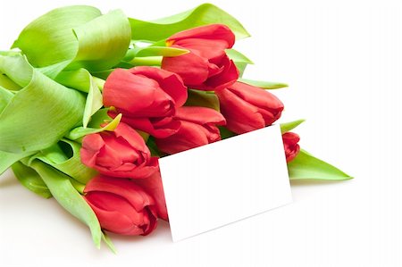 simsearch:400-04340566,k - bouquet of red tulips isolated on white Stockbilder - Microstock & Abonnement, Bildnummer: 400-04294622