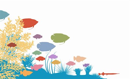 echinoderma - Vector illustration of colorful fish and coral silhouettes Fotografie stock - Microstock e Abbonamento, Codice: 400-04295117