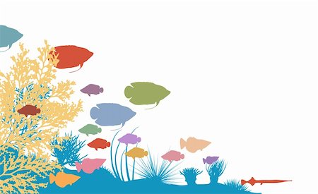 sea urchins - Vector illustration of colorful fish and coral silhouettes Photographie de stock - Aubaine LD & Abonnement, Code: 400-04295117