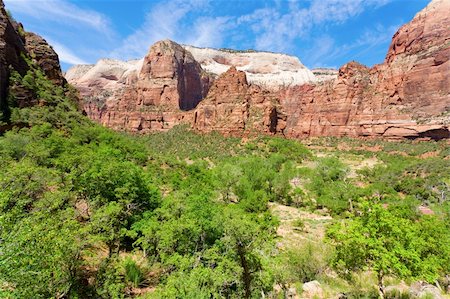 View of a canyon inside Zion national park Stock Photo - Budget Royalty-Free & Subscription, Code: 400-04295141