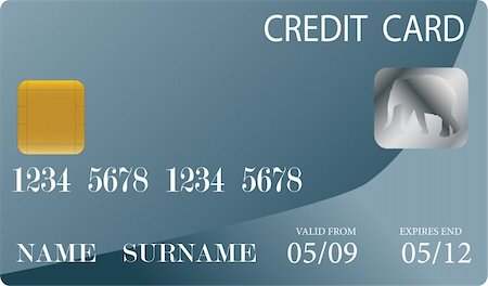 Credit Card - vector Stock Photo - Budget Royalty-Free & Subscription, Code: 400-04295762