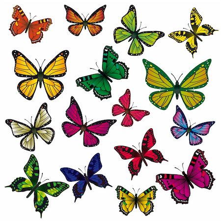 simsearch:400-08787096,k - A collection of colorful butterflies. Vector illustration. Vector art in Adobe illustrator EPS format, compressed in a zip file. The different graphics are all on separate layers so they can easily be moved or edited individually. The document can be scaled to any size without loss of quality. Photographie de stock - Aubaine LD & Abonnement, Code: 400-04295778