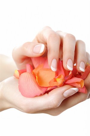 simsearch:400-06061806,k - Beautiful hand with perfect french manicure on treated nails holding rose flower petals. isolated on white background Stock Photo - Budget Royalty-Free & Subscription, Code: 400-04296013