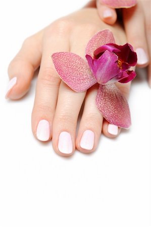 pink nails - Beautiful hand with perfect nail pink manicure and purple orchid flower. isolated on white background Stock Photo - Budget Royalty-Free & Subscription, Code: 400-04296070