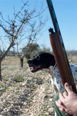 simsearch:400-04288829,k - A hunter and his dog, a strong partnership Photographie de stock - Aubaine LD & Abonnement, Code: 400-04297075