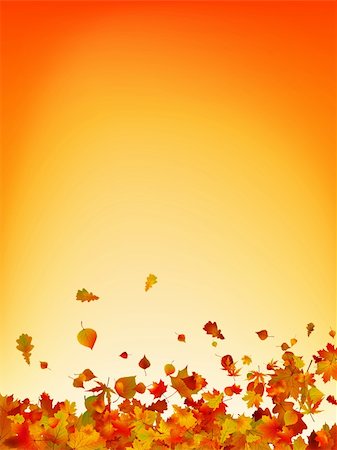 Autumn leaves background. EPS 8 vector file included Stock Photo - Budget Royalty-Free & Subscription, Code: 400-04297162