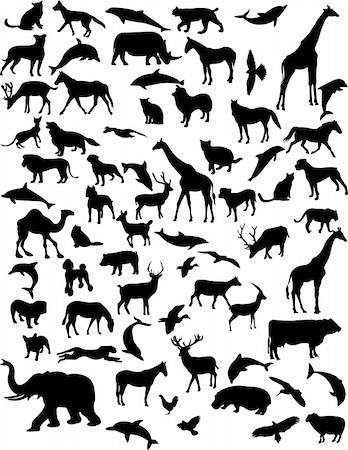 collection of 68 animals - vector Photographie de stock - Aubaine LD & Abonnement, Code: 400-04297199