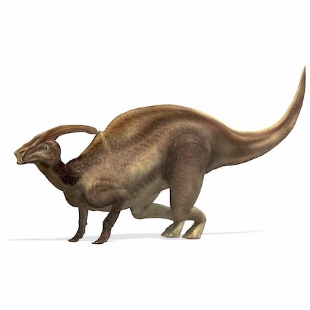 palaeontology - Dinosaur Parasaurolophus. 3D rendering with clipping path and shadow over white Stock Photo - Budget Royalty-Free & Subscription, Code: 400-04297641