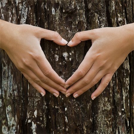 people with forest background - Female hands making an heart shape on a trunk of a tree. Great ecology concept Stock Photo - Budget Royalty-Free & Subscription, Code: 400-04298078