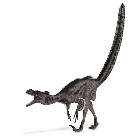 palaeontology - Dinosaur Velociraptor. 3D rendering with clipping path and shadow over white Stock Photo - Budget Royalty-Free & Subscription, Code: 400-04298317