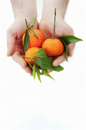 simsearch:400-07613620,k - Two mandarins in hands isolated on white Stockbilder - Microstock & Abonnement, Bildnummer: 400-04298478