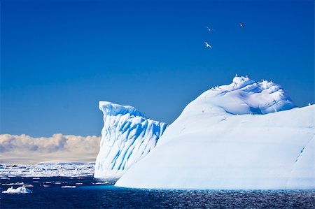 simsearch:400-05383454,k - Huge iceberg in Antarctica, beautiful winter background Foto de stock - Royalty-Free Super Valor e Assinatura, Número: 400-04299205
