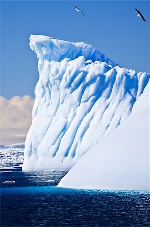 simsearch:400-05383454,k - Beautifull big antarctic iceberg in the snow Foto de stock - Royalty-Free Super Valor e Assinatura, Número: 400-04299206