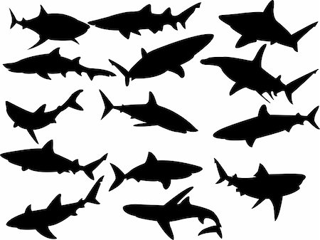 simsearch:400-04864072,k - collection of sharks silhouette - vector Stockbilder - Microstock & Abonnement, Bildnummer: 400-04299451