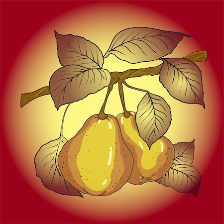 simsearch:400-07101870,k - Two mature yellow pears with leaves on a branch. A vector Stockbilder - Microstock & Abonnement, Bildnummer: 400-04299751