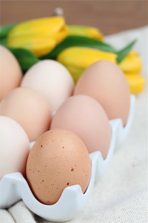 simsearch:400-04291976,k - Brown chicken eggs in an egg holder and yellow tulips with catkins. Shallow dof Photographie de stock - Aubaine LD & Abonnement, Code: 400-04299854
