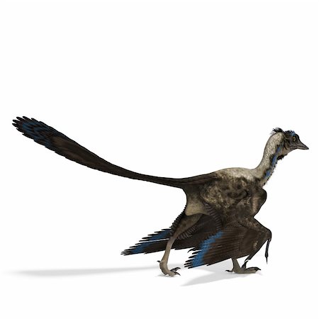 simsearch:400-04818670,k - Dinosaur Archaeopteryx. 3D rendering with clipping path and shadow over white Foto de stock - Royalty-Free Super Valor e Assinatura, Número: 400-04290320