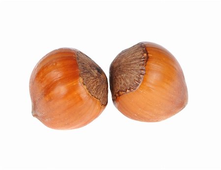 ripe brown hazelnuts isolated on white background Stock Photo - Budget Royalty-Free & Subscription, Code: 400-04290468