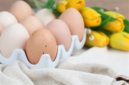 simsearch:400-04291976,k - Brown chicken eggs in an egg holder and yellow tulips with catkins. Shallow dof Photographie de stock - Aubaine LD & Abonnement, Code: 400-04291976