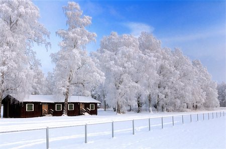 simsearch:400-06852329,k - Snowy winter landscape with cottage and trees covered with frost Photographie de stock - Aubaine LD & Abonnement, Code: 400-04292249